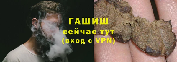 стаф Аркадак