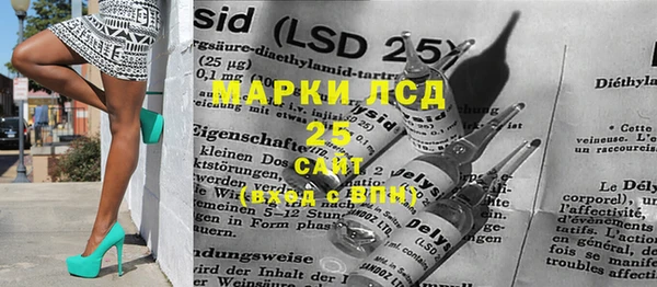 стаф Аркадак