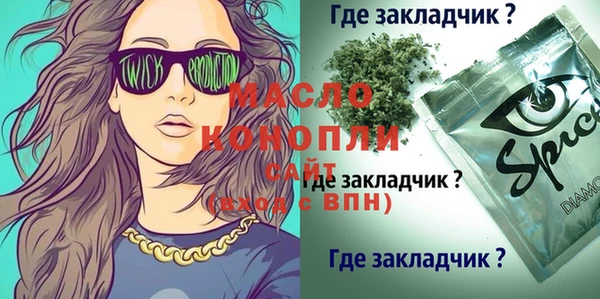 стаф Аркадак