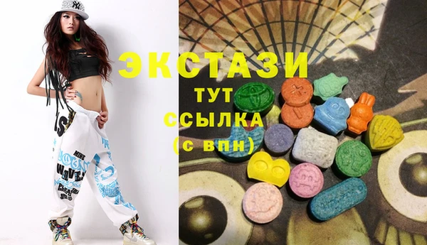 стаф Аркадак