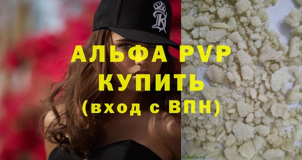 стаф Аркадак