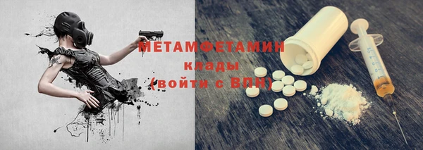 стаф Аркадак